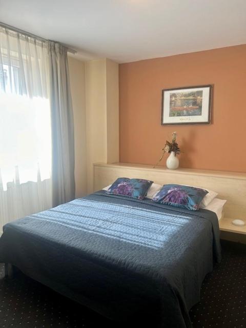 Hotel Pacific تيميشورا المظهر الخارجي الصورة